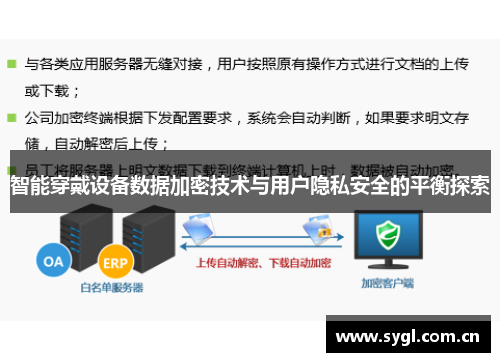 智能穿戴设备数据加密技术与用户隐私安全的平衡探索